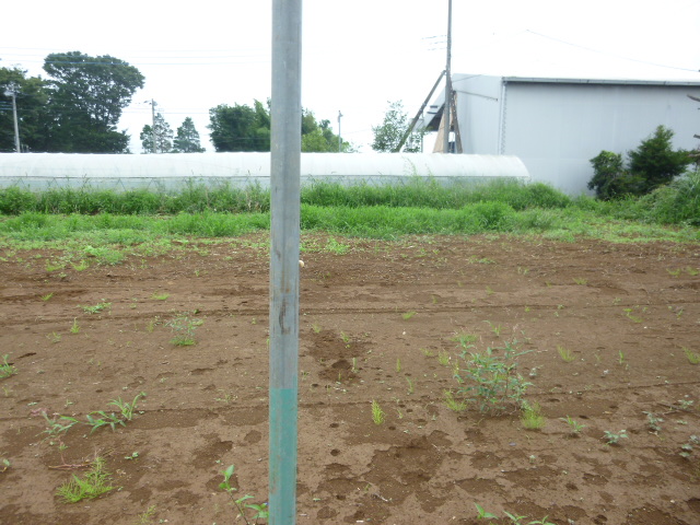 茨城県行方市小貫