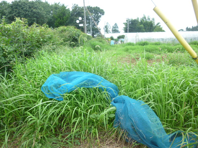 茨城県行方市小貫