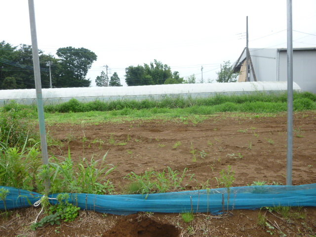 茨城県行方市小貫